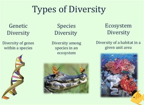 diverse in form figgerits|Diverse or different kinds Figgerits .
